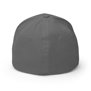 CC Logo-Structured Twill Cap